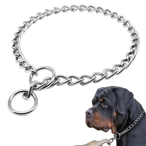 4 Size Stainless Steel Slip Chain Collar