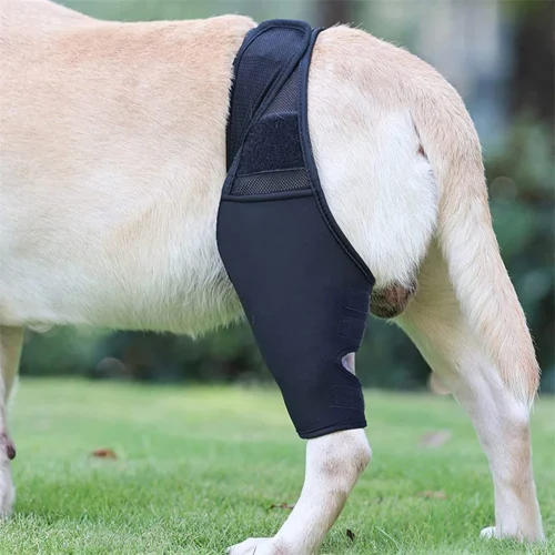 Universal Hip Brace For Dogs